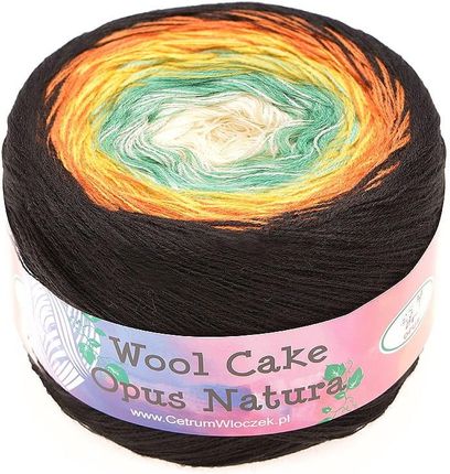 Opus Natura Włóczka Wool Cake 50024 wełna ombre 1611948884