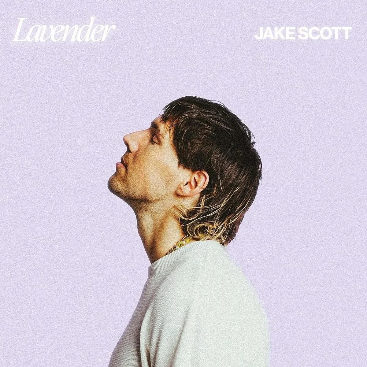 Płyta kompaktowa Jake Scott - Lavender (CD) - Ceny i opinie - Ceneo.pl