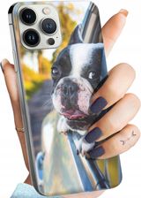 Hello Case Etui Do Iphone 13 Pro Max Mops Buldog Francuski Angielski Obudowa
