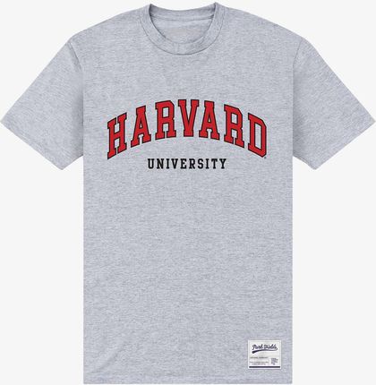 Queens Park Agencies - Harvard University Unisex T-Shirt Sport Grey