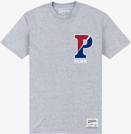 Queens Park Agencies - University Of Pennsylvania P Unisex T-Shirt Sport Grey