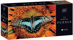Zdjęcie Interdruk Puzzle 250El. Colourful Nature 2 Butterfly - Katowice