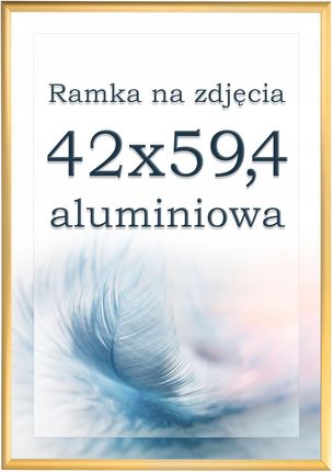 Foto Ramka A2 Aluminiowa Złota Ramki 42X59,4