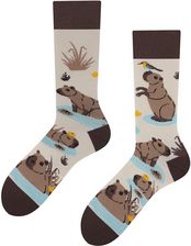 Zdjęcie Capybara, Todo Socks, Kapibara z jabłkiem, Kolorowe Skarpetki - Myślenice