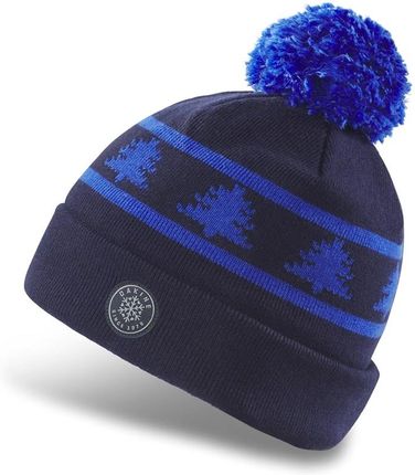 czapka zimowa DAKINE - Jack Pine Merino Beanie Sky Blu (SKY BLU) rozmiar: OS
