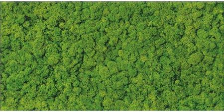 Cersanit Płytka Ścienna Inserto Fresh Moss Green 29,8X59,8