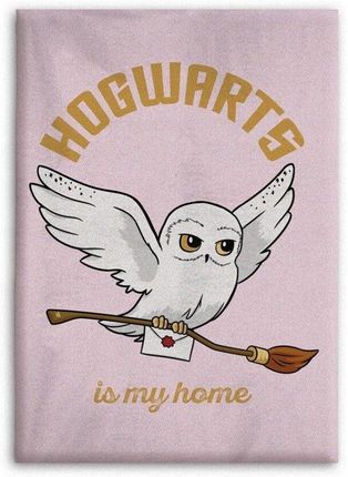 Aymax Harry Potter Sowa Różowy Welurowy Gruby Koc Dla Fana Narzuta 110X150Cm