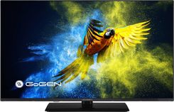 Telewizor LED Gogen TVF43M340STWEB 43 cale Full HD