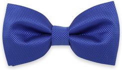 Zdjęcie Niebieska mucha męska - Strzelin