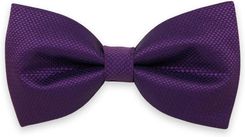 Zdjęcie Ciemnofioletowa mucha męska - Nasielsk