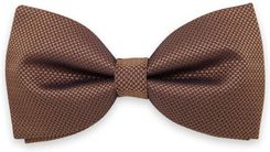 Zdjęcie Brązowa mucha męska - Pobiedziska