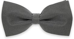 Zdjęcie Czarno-biała mucha męska - Góra Kalwaria