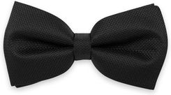 Zdjęcie Czarna mucha męska - Góra Kalwaria