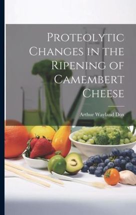 Proteolytic Changes in the Ripening of Camembert Cheese