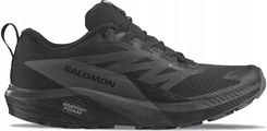 Zdjęcie Salomon Sense Ride 5 Gtx L47147200 42 - Szamocin