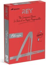 Lot 5 Ramette de Papier A4 80G REY COPY - 500 FEUILLES