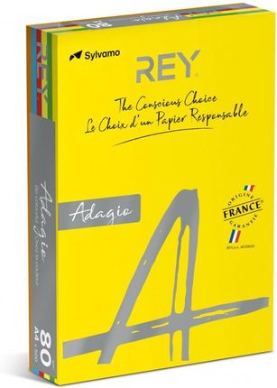 Rey Adagio Papier Xero A4 Kolor 500Ark. 80G. - Mix Kolorów - Intensywny