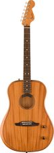 Fender Highway Dreadnought, RW Fingerboard, All MAH - gitara elektroakustyczna