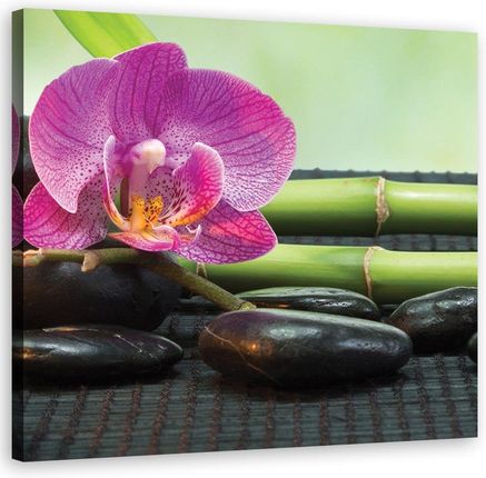 Feeby Obraz na płótnie Orchidea na czarnych kamieniach 50x50