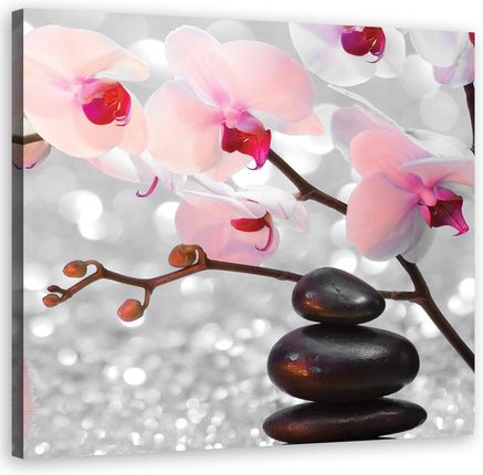 Feeby Obraz na płótnie Kamienie zen i gałązka storczyka 60x60