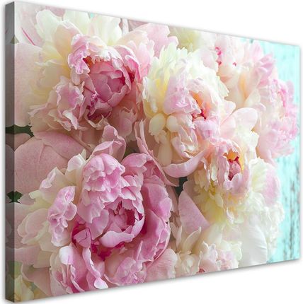Feeby Obraz na płótnie Różowe kwiaty piwonii 60x40
