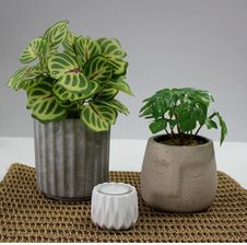 Zdjęcie Splendid Osłonka Doniczki Cementowa Lone Twarz 11cm Boho Aztec Beżowa - Węgorzyno