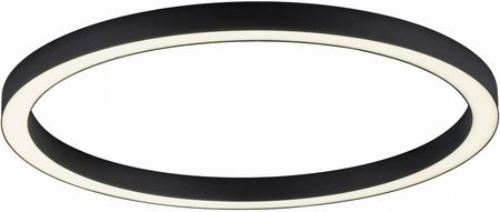 6306-13 Pure-Lines Ceiling Light, Anthrazit 
