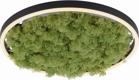 15391-66 Green Ritus Ceiling Light, Moss 
