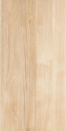 Ceramika Color Board 30X60