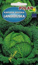Zdjęcie Polan Kapusta Nasiona 2g - Pruszków