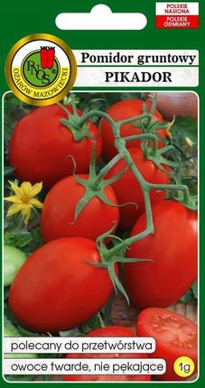 Pnos Pomidor Pikador Plenny Do Przetwórstwa Nie Pęka