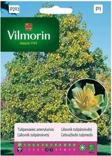 Zdjęcie Vilmorin Tulipanowiec Amerykański 0,3g - Sejny