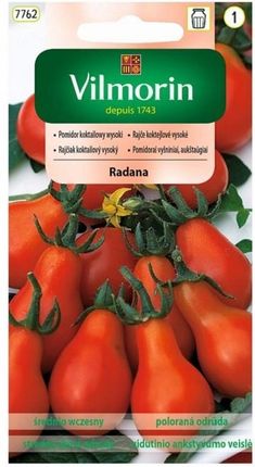 Vilmorin Pomidor Koktajlowy Wysoki Radana 0,3g