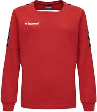 Zdjęcie Bluza dziecięca Hummel hmlAUTHENTIC Training | SPRAWDŹ NASZĄ OFERTĘ PROMO WEEK - Oborniki