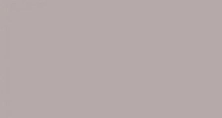 Domino Colour Marrone Płytka Ścienna Rekt. Mat 29,8X59,8