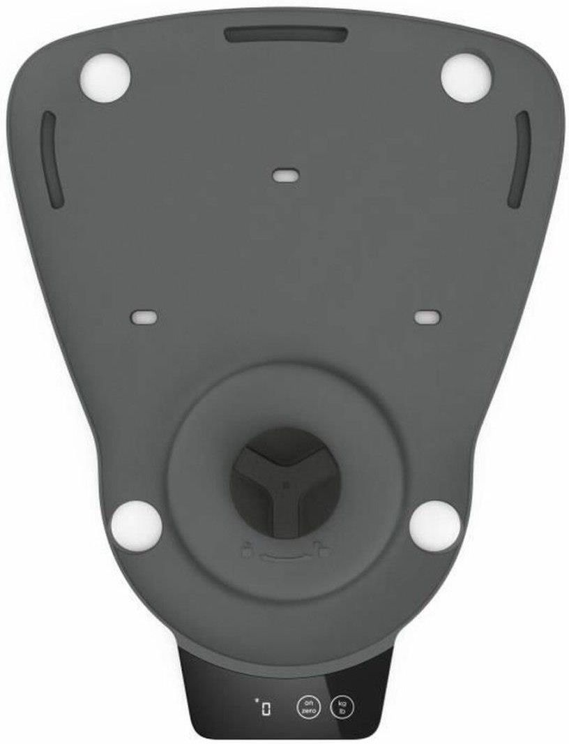 фото Ваги кухонні електронні Kenwood KAP00.000GY