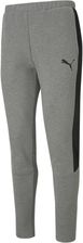 Zdjęcie Puma Jogging Evostripe Core Szare - Łęknica
