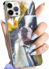 Hello Case Etui Do Iphone 12 Pro Max Mops Buldog Francuski Angielski Obudowa