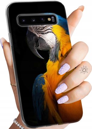Hello Case Etui Do Samsung Galaxy S10 Papuga Papużka Tukan