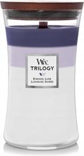 Zdjęcie Yankee Candle Zapachy Do Pomieszczeń Wood Wick Evening Luxe 609 G - Przemków