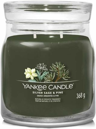 Yankee Candle Świeca Średnia Silver Sage & Pine Wosk Sojowy 368 G