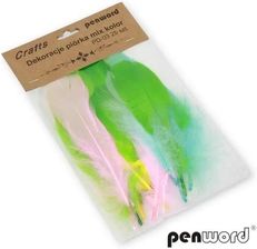 Zdjęcie Piórka Mix 10-13cm - Mińsk Mazowiecki