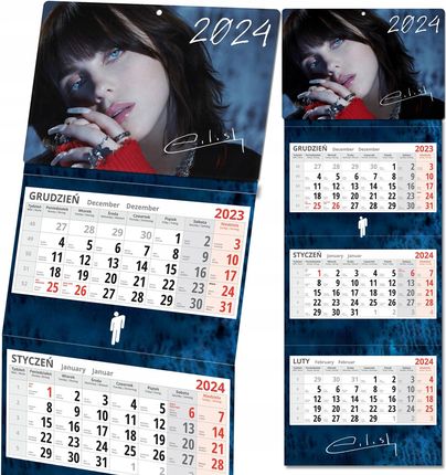 Kalendarz Ścienny Trójdzielny Na Nowy Rok 2024 Billie Eilish Prezent Y3