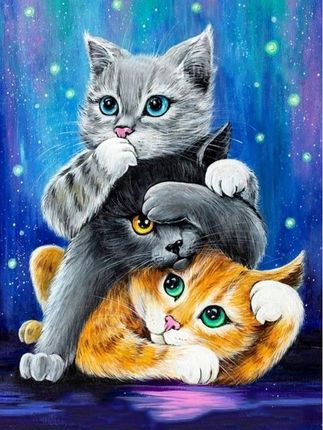 Malowanie Po Numerach Koty Kotki Obraz Z Ramą 40x50cm