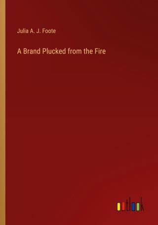 A Brand Plucked From The Fire - Literatura Obcojęzyczna - Ceny I Opinie ...