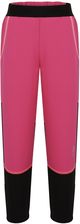 Zdjęcie Loap  Dziecięce spodnie softshellowe OLK2309 Pink 146/152 - Ryglice