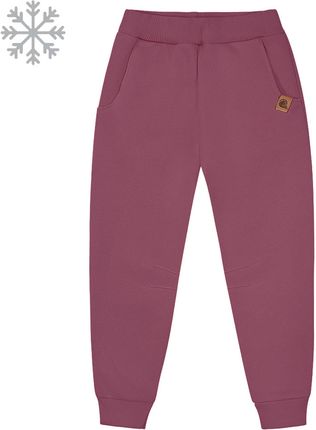 Ocieplane spodnie dresowe Smoke lilac