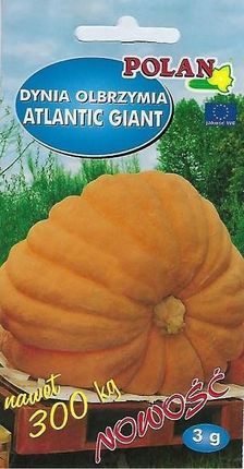 Polan Dynia Olbrzymia Atlantic Gigant 3g