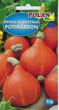 Zdjęcie Polan Dynia Olbrzymia Potimarron 3g - Nowy Dwór Mazowiecki