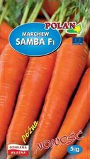 Polan Marchew Jadalna Samba F1 5g